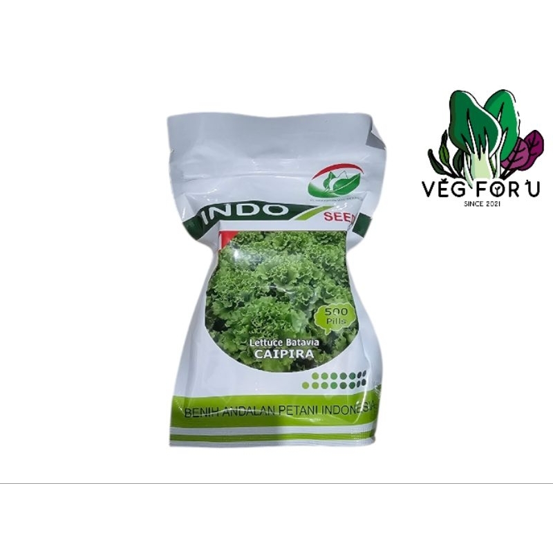 Selada Caipira 500 pills