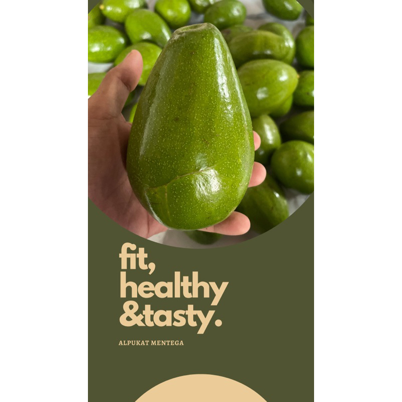 

Alpukat Mentega 1kg isi 4-5 buah/kg
