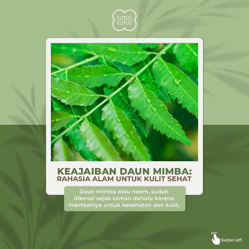 

DAUN MIMBA 1 KG DAN 500 GR UNTUK GATAL GATAL IRITASI KESEHATAN KULIT DAN BANYAK MANFAAT LAINNYA