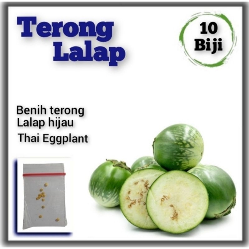 Benih Sayuran Terong Lalap F1 Hibrida