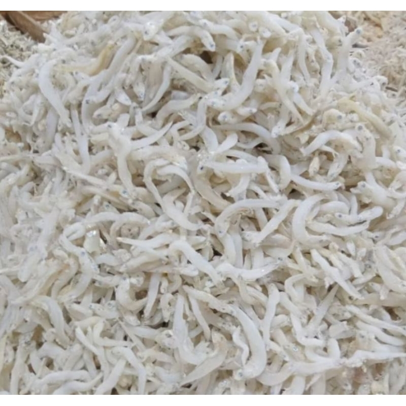 

Ikan Teri Touge Medan