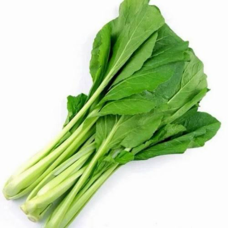 

Sayur Hijau / sawi hijau ikat kecil
