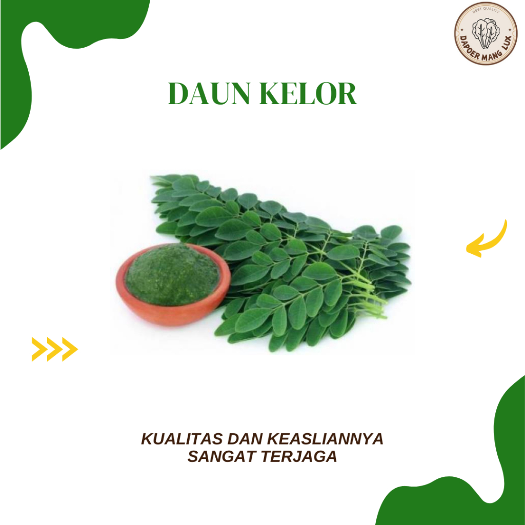 

DRIED SERBUK DAUN KELOR BEST SELLER