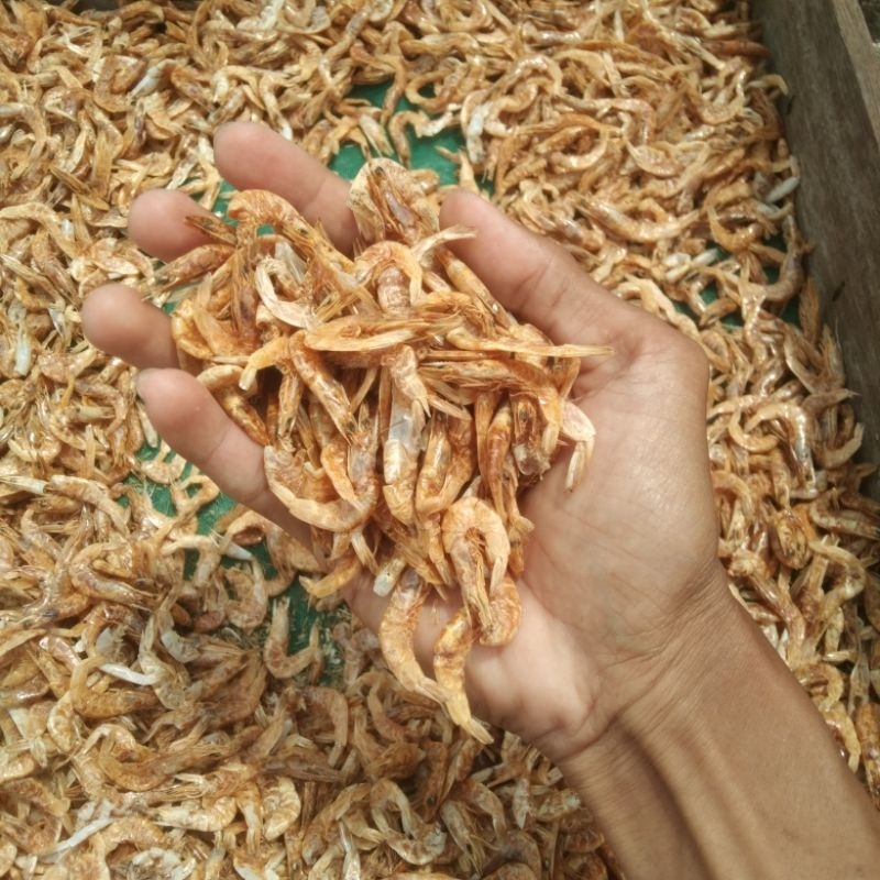 

Udang Tambak Kering Tawar 50grm