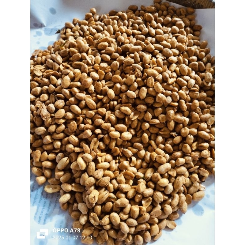 

kacang bawang 500gram