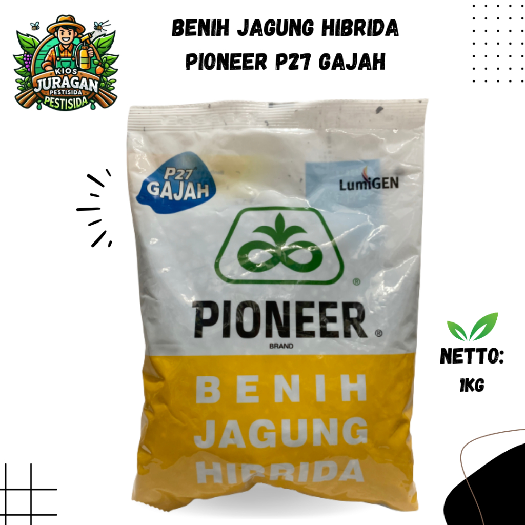 BENIH JAGUNG HIBRIDA PIONEER P27 LUMIGEN 1KG