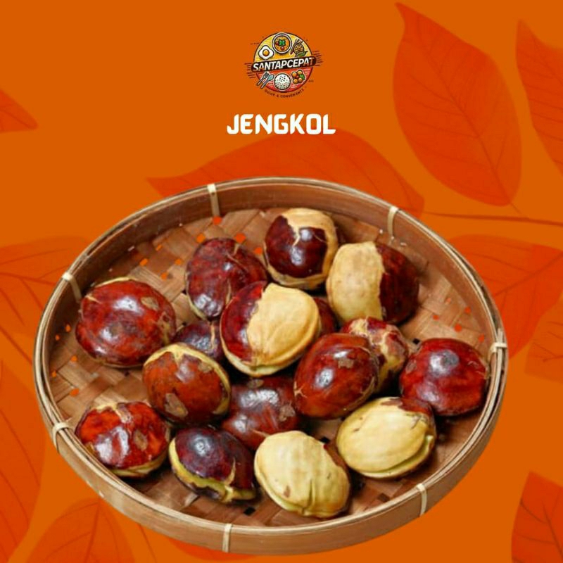 

Jengkol Segar – Pilihan Tepat untuk Pecinta Masakan Nusantara