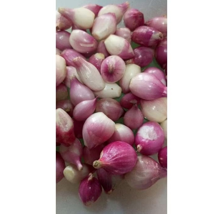 

Bawang merah kupas asli Nganjuk UK sedang dan kecil