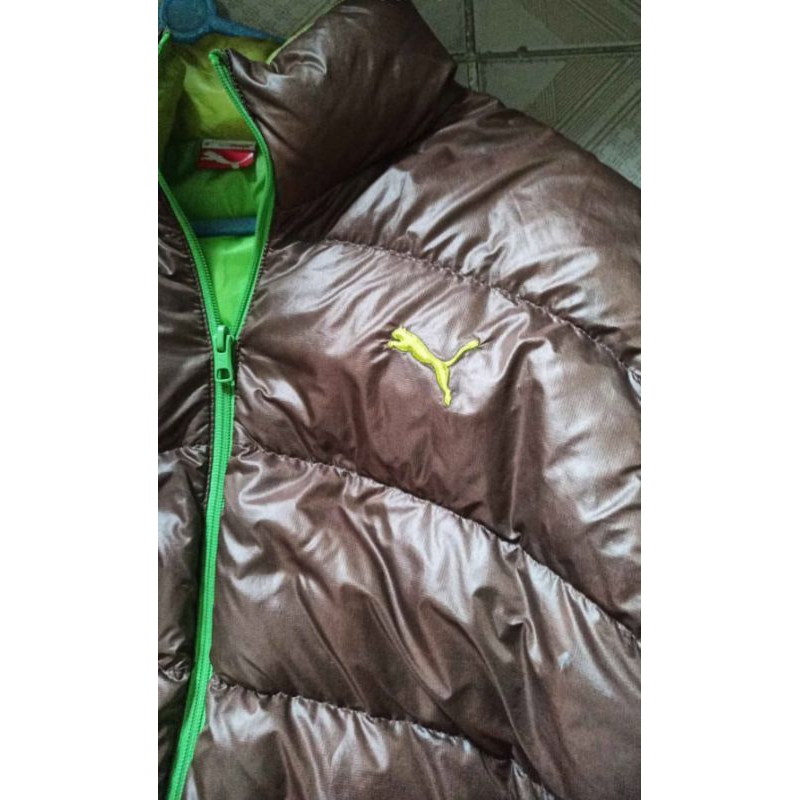 Bulang puma original