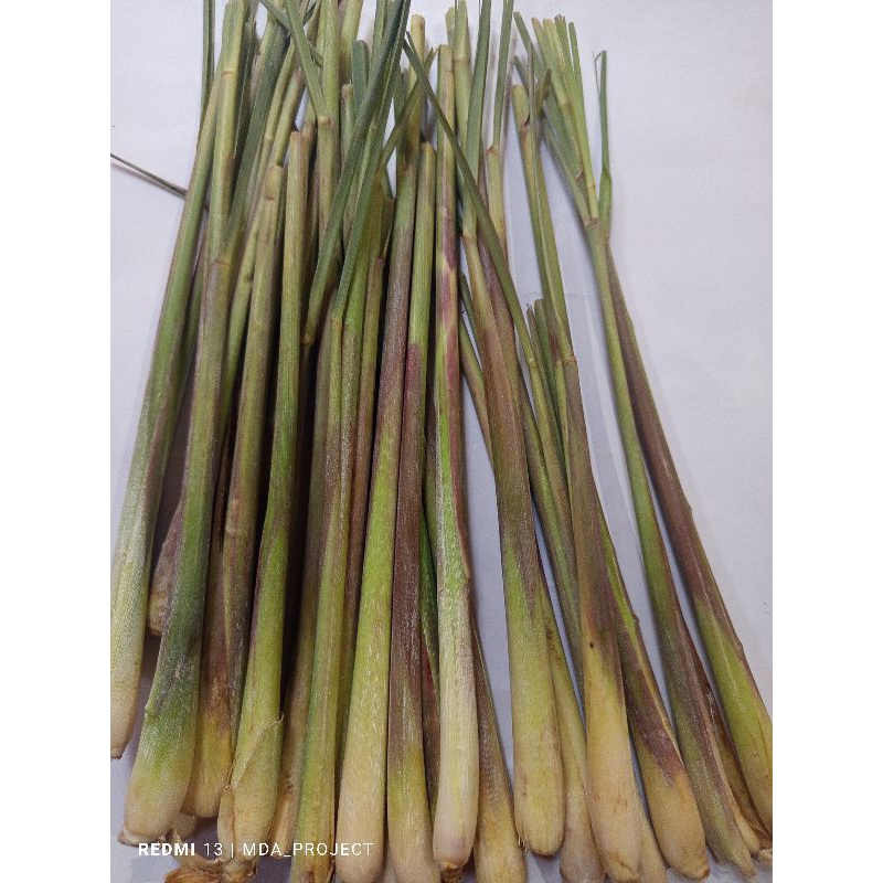 

sereh bumbu dapur segar fres 1kg ukuran campur