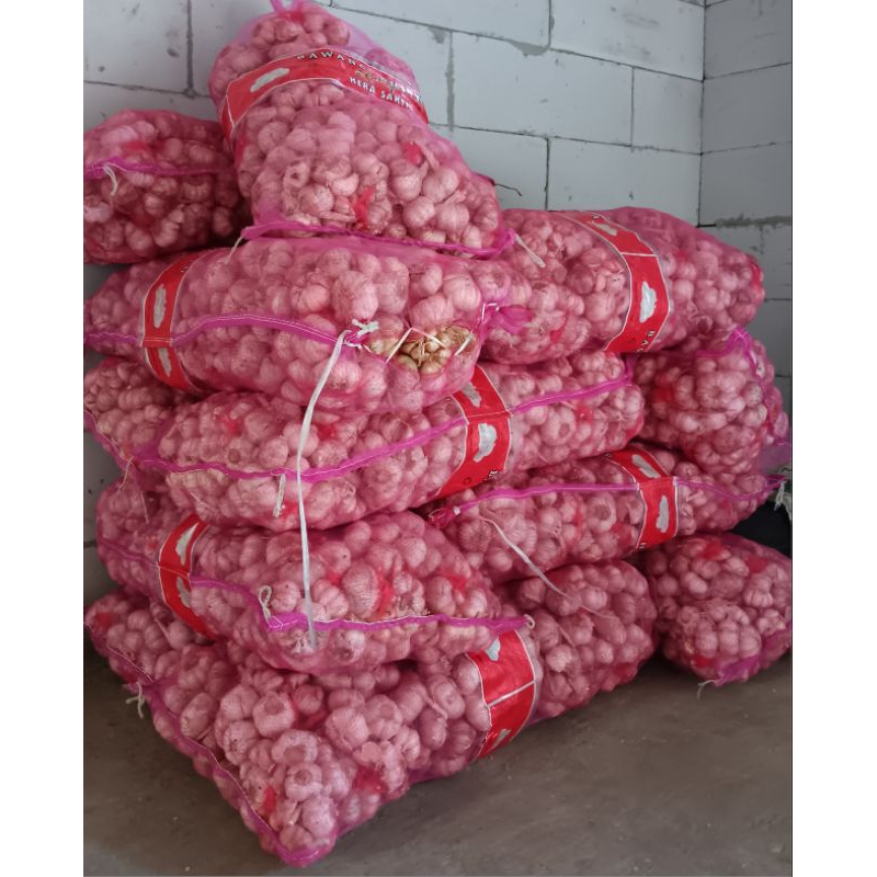 

ELSHOP Bawang Putih Bersih Murah 1 Kg | Bawang Putih Bersih | Bawang Putih Honan Sincau