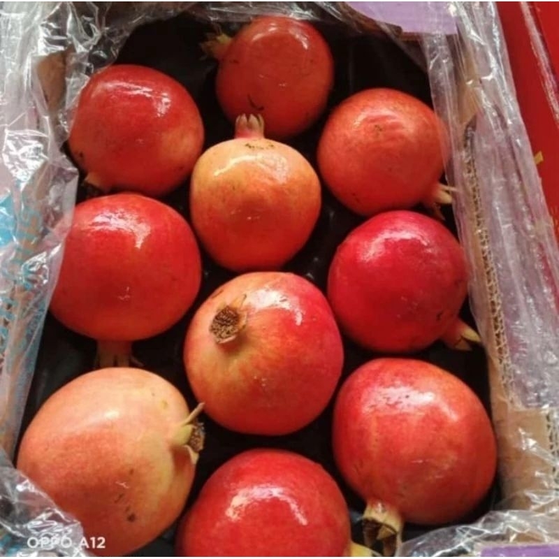

DELIMA MERAH TUNISIA 1KG ( isi 1-2 buah ) dijamin enak