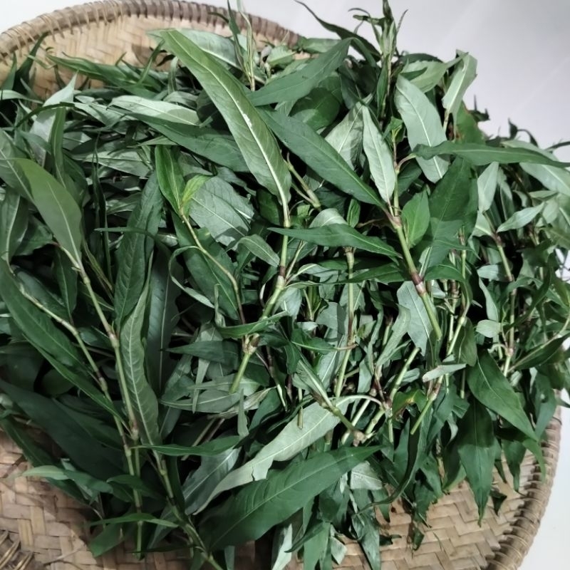 

Daun kesum seger rampah laksa kari bubur pedas asam pedas