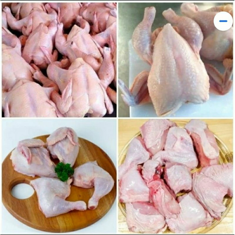 

ayam segar halal