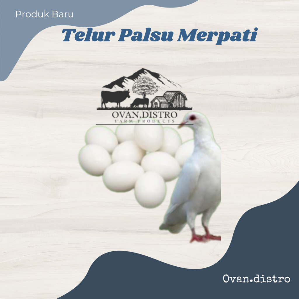 

Telur Palsu Merpati Ayam Kate dan Aneka Burung bahan solid