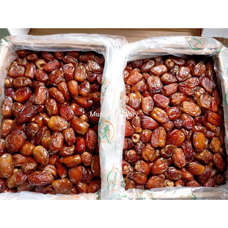 

kurma egyptianmesir