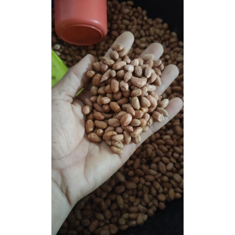 

kacang-tanah-kupas-kulit-luar