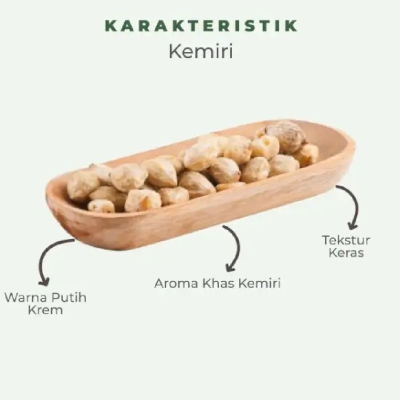 

KEMIRI 100GR KEMIRI PRCAH BUMBU DAPUR