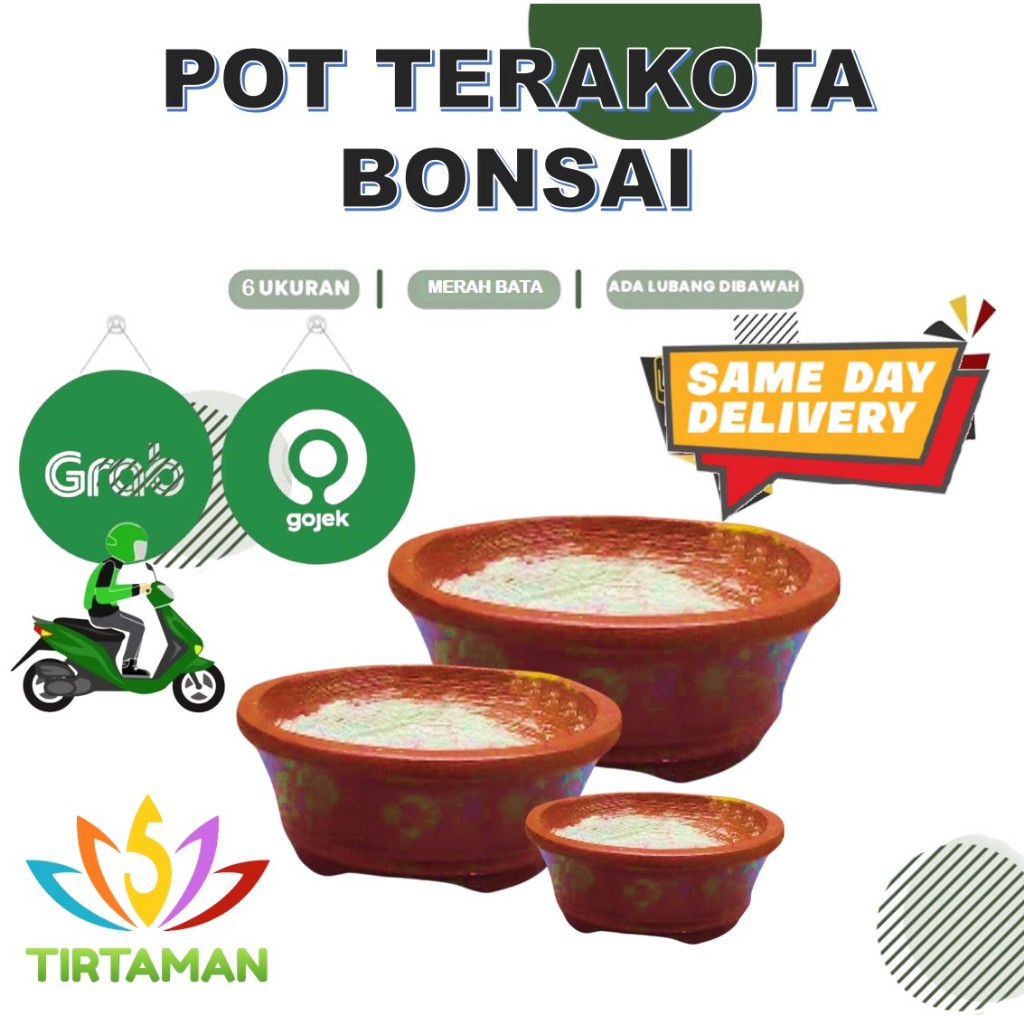 pot terakota bonsai cawan / pot gerabah bonsai cawan / pot bonsai tanah liat [khusus kurir instan]