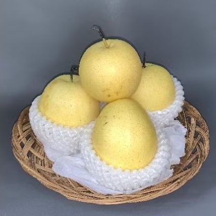 

buah pir kuning century segar