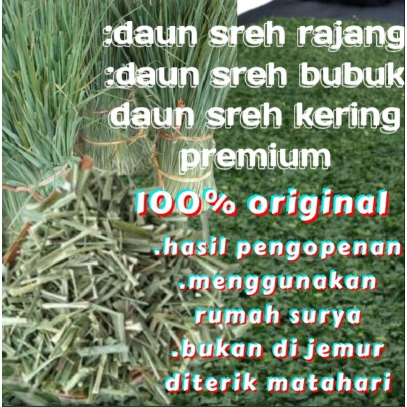 

daun srey kering rajang / bubuk premium250g-500g-1kg