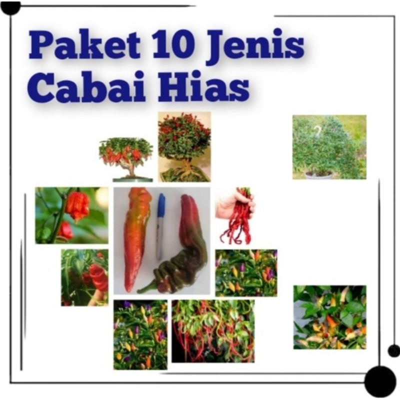 Paket 10 Jenis Benih Tanaman Cabe Hias