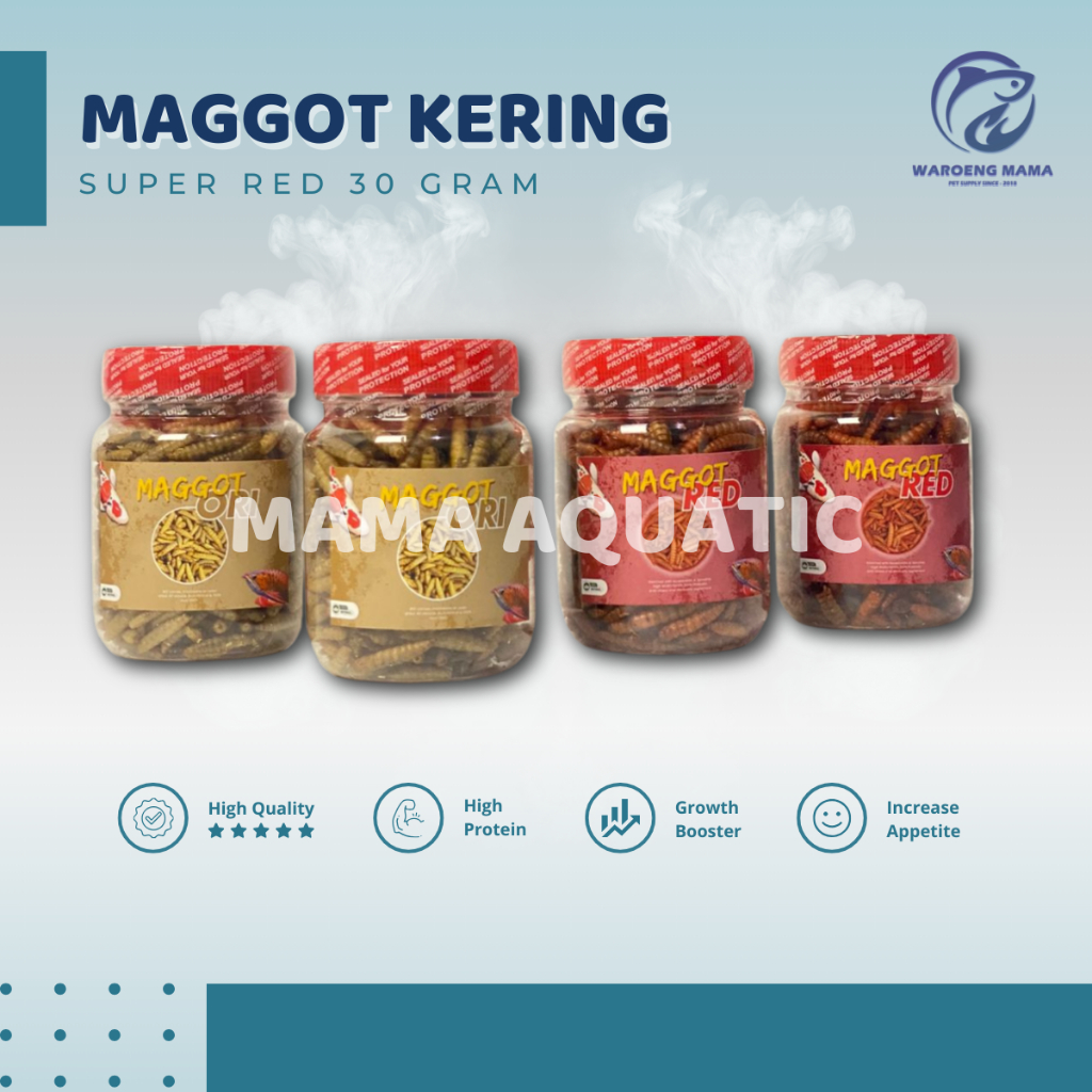 Maggot Yellow Red Blue 30gram Pakan Channa Maru YS Arwana 30gram