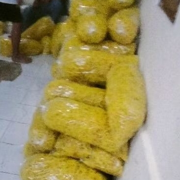 

Mie Awud mie kenyol mie kuning mie Glosor khas Tegal isi 1.8kg