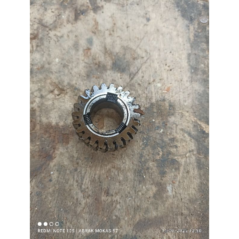 gigi primer Shogun sp fd