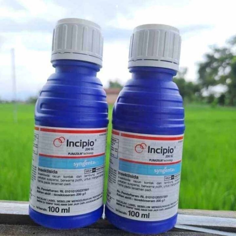 insektisida incipio 100ml syngenta original 100%