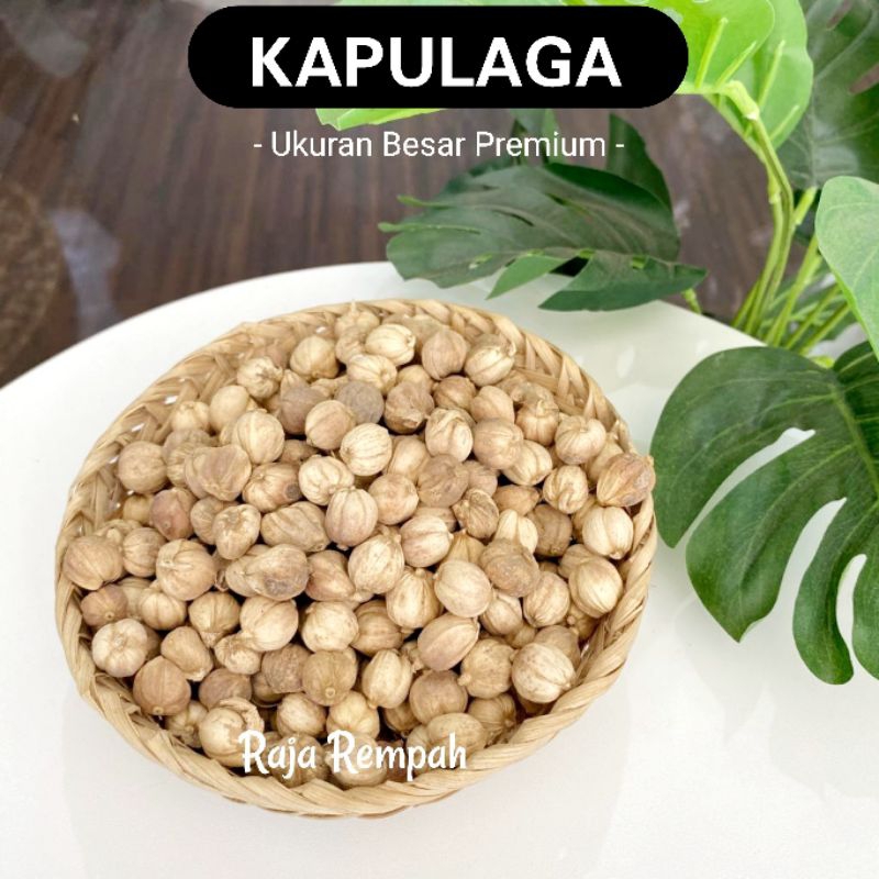 

Kapulaga 500 Gram Rempah Alami Nusantara
