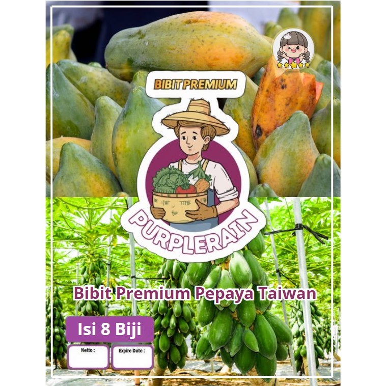 Bibit Premium Pepaya Taiwan | Benih Buah Pepaya | Biji Bibit Pepaya
