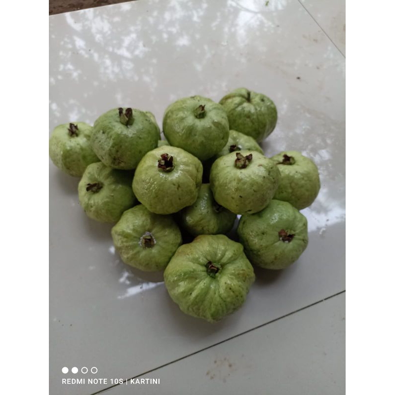

Jambu kristal