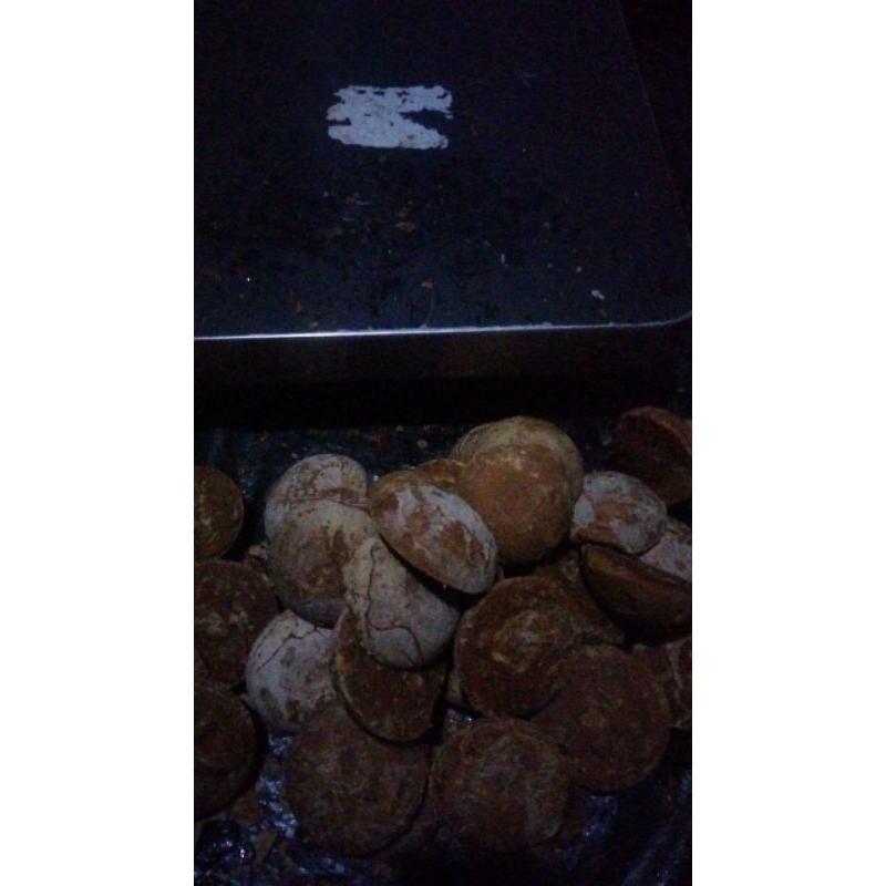 

gula kelapa organik