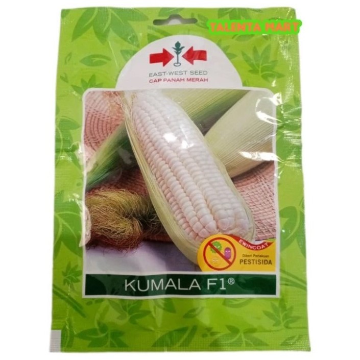 200 BENIH JAGUNG PUTIH PULUT KETAN MANIS KUMALA F1