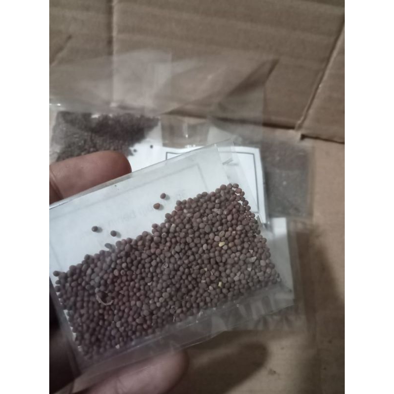 

3gram benih biji bibit sawai