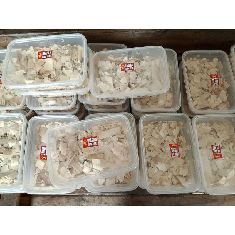 kecoa batu katerlak ceremenje