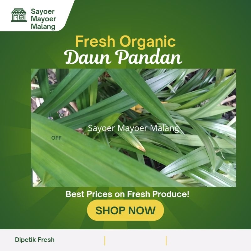 

Daun Pandan Wangi