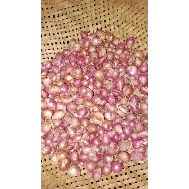 

bawang merah probolinggo 1000gram size besar