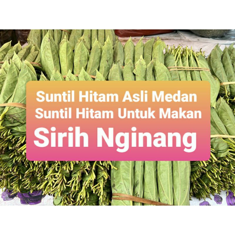 

Warna Hitam Untuk Nginang Makan Sirih 50 Gram