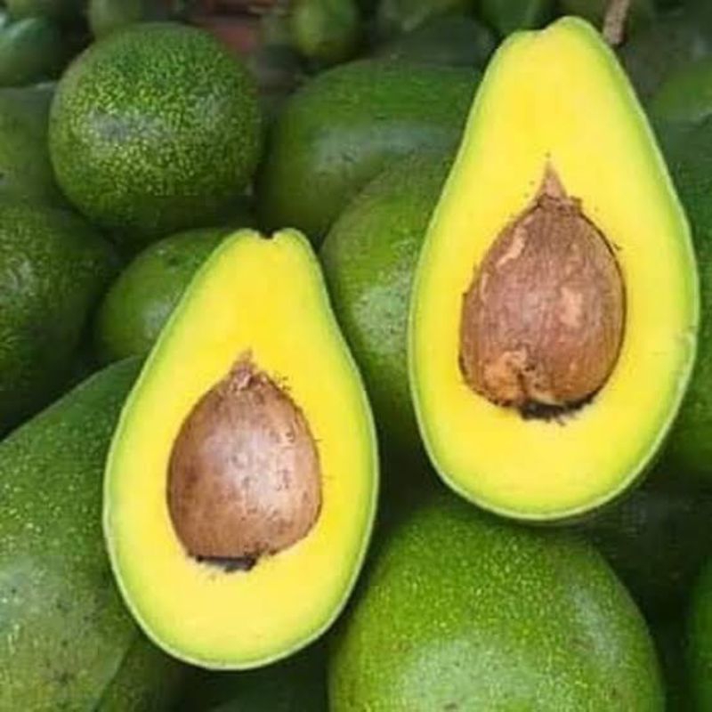 

alpukat mentega grade A 1kg bonus alat dapur