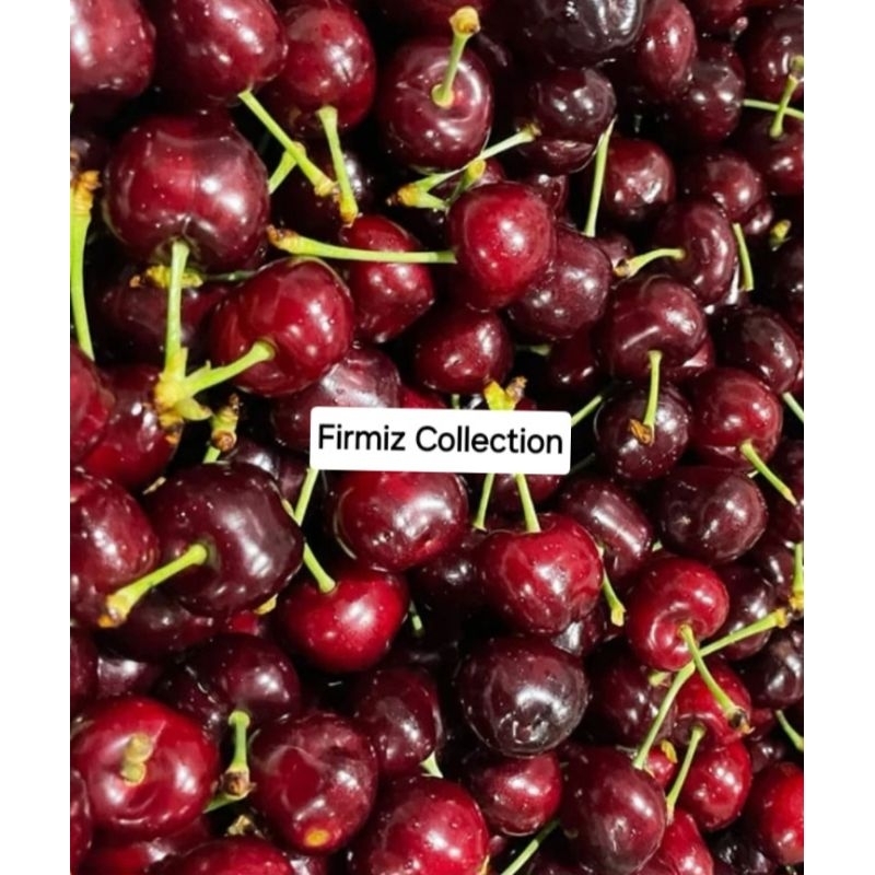 

Cerry Fresh , buah segar Cerry