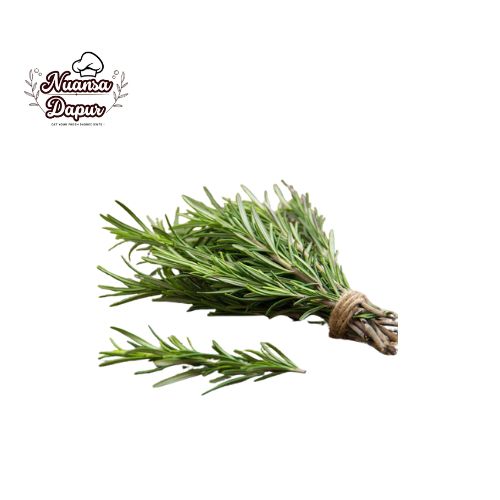 Daun Rosemary Fresh 100 gram