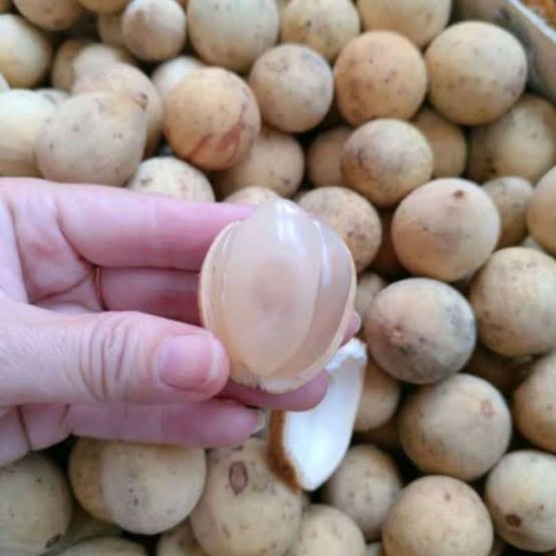 

Dukuh palembang asli 500gram