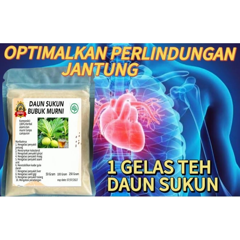 

DAUN SUKUN BUBUK MURNI UNTUK JANTUNG l