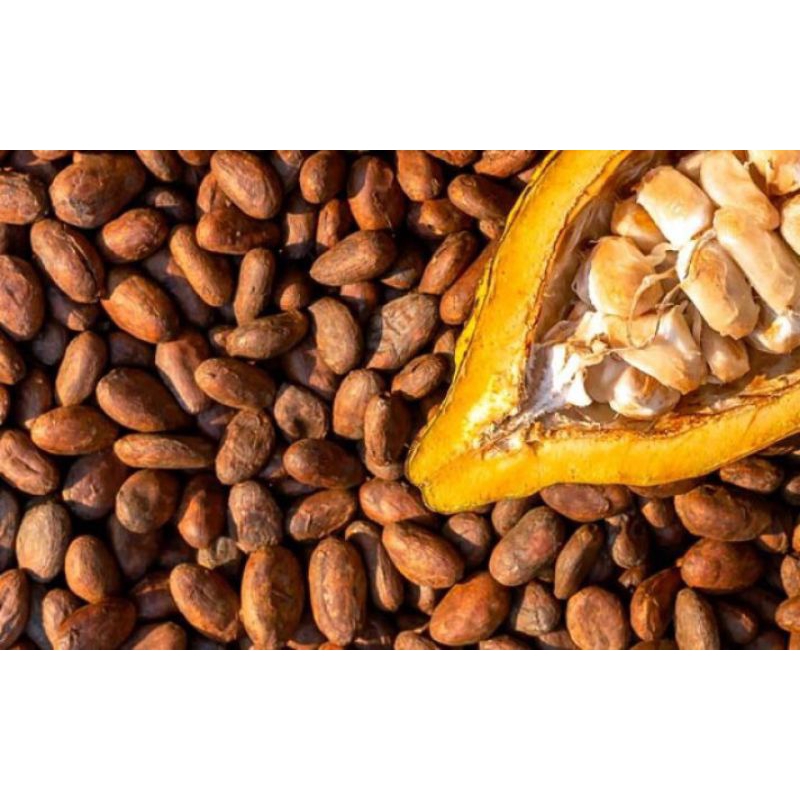 Biji Kakao kering 1 Kg /cacao/biji coklat