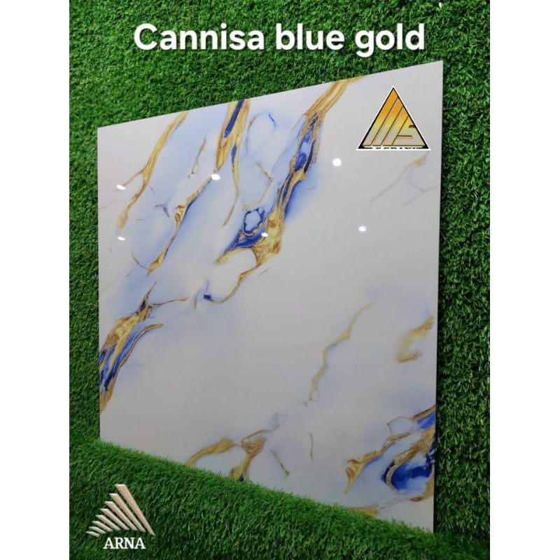 Granit ARNA 60x60 Cannisabluegold