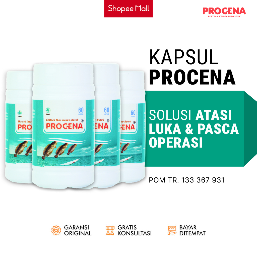 Procena Obat Luka Bakar Alami Diabetes Pasca Operasi Kapsul Ikan Gabus Albumin Procena - 4 botol