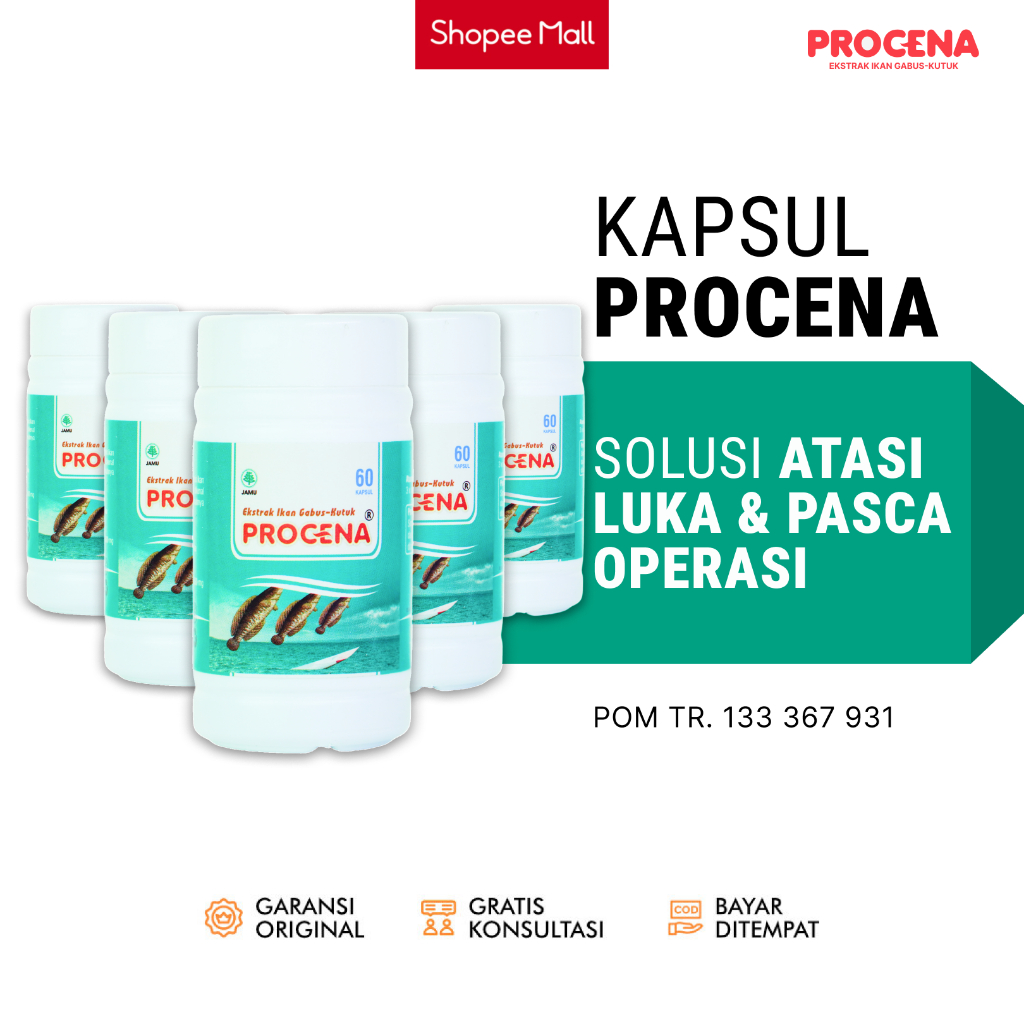Procena Kapsul Ikan Gabus Kutuk Albumin Obat Atasi Luka Pasca Operasi - 5 botol