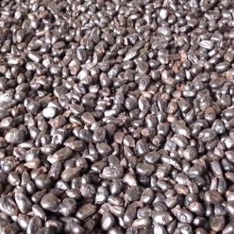 

Jagung roasting untuk campuran kopi